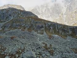 Photo Textures of High Tatras